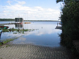 IMG_3700.jpg