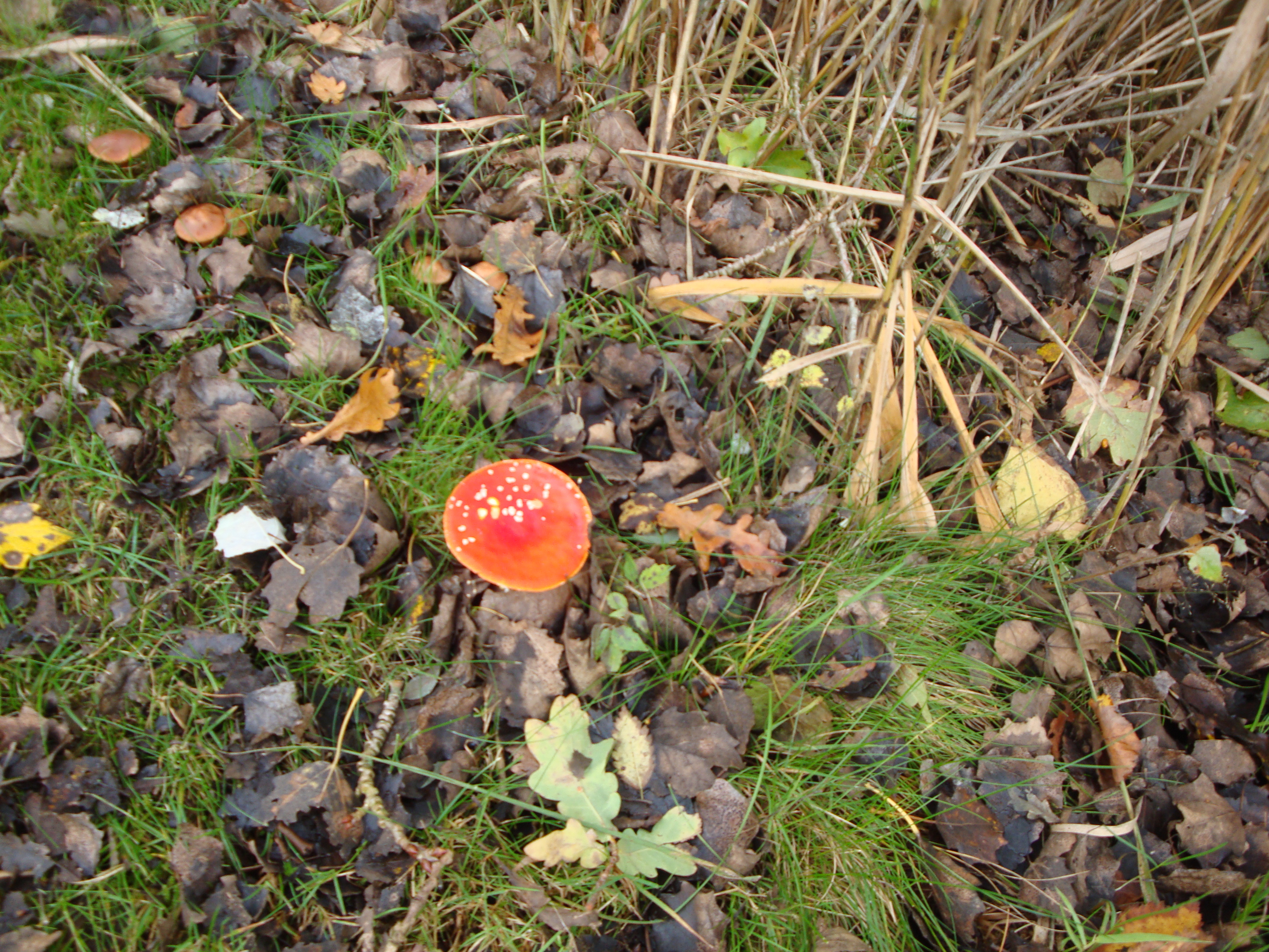 DSC09852.JPG