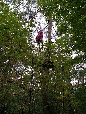 20201020_151837.jpg