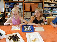 DSC01593.jpg