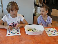 DSC01602.jpg