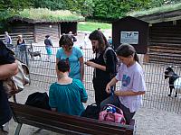 DSC04534.jpg