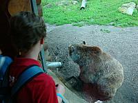 DSC04770.jpg