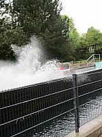 IMG_0127.jpg