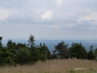 P1050026.jpg