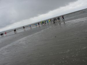 IMG_5134.jpg