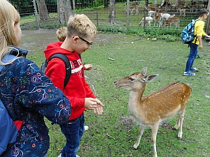 DSCN0283.JPG