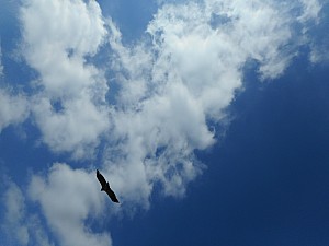 DSCN0444.JPG