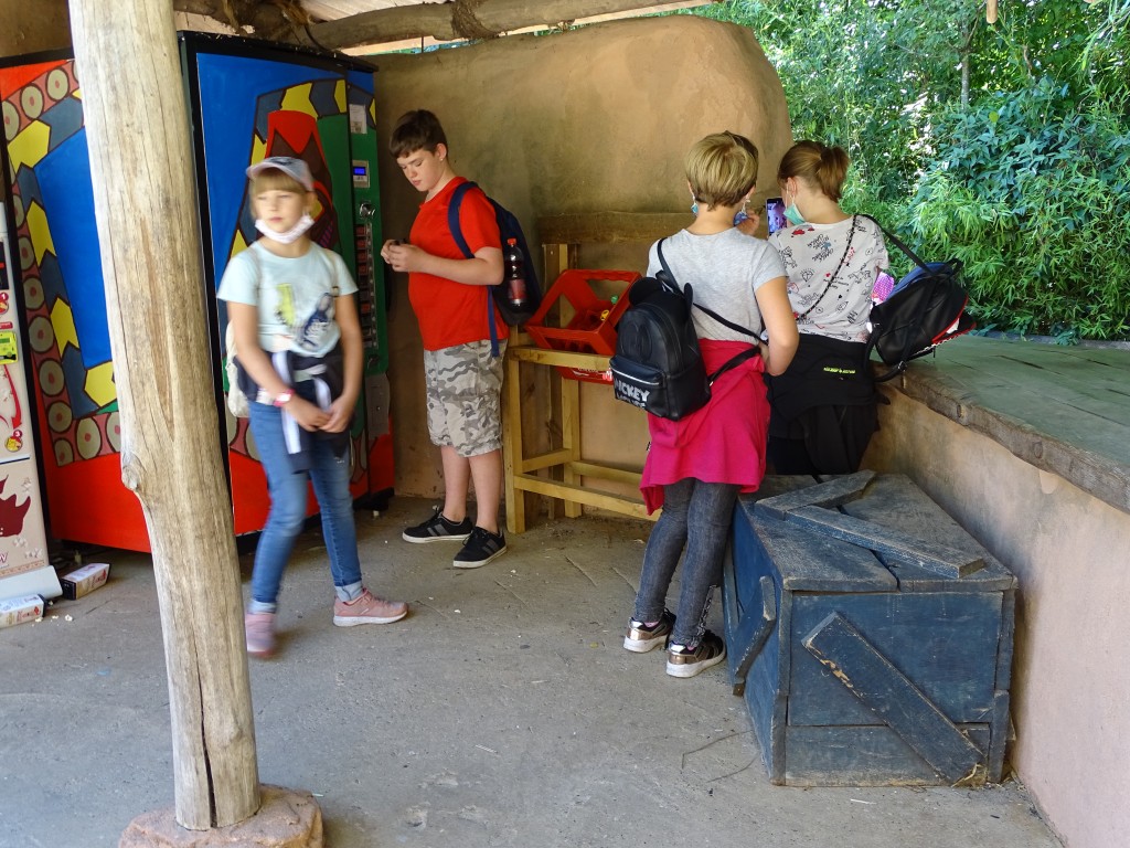 DSC00835.jpg